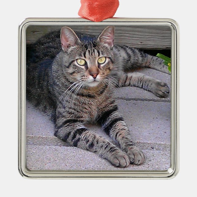 Brown Tabby Cat Outdoors Metal Tree Decoration (Front)