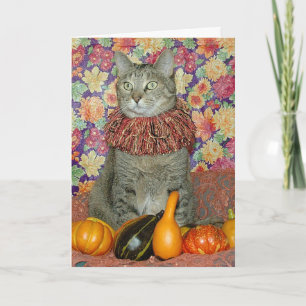 Brown tabby cat Thanksgiving or Autumn card