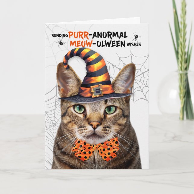 Brown Tabby Halloween Cat PURRanormal MEOWolween Holiday Card (Front)
