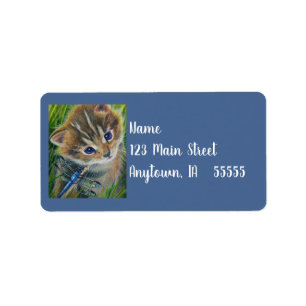 Brown Tabby Kitten & Dragonfly Watercolor Art Label