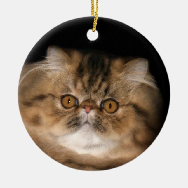 Brown tabby persian ceramic tree decoration (Front)