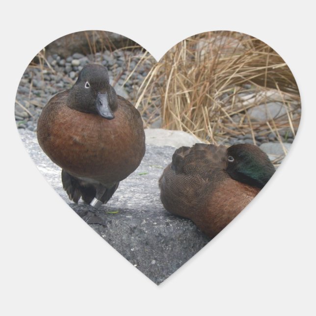 Brown Teal Heart Sticker (Front)