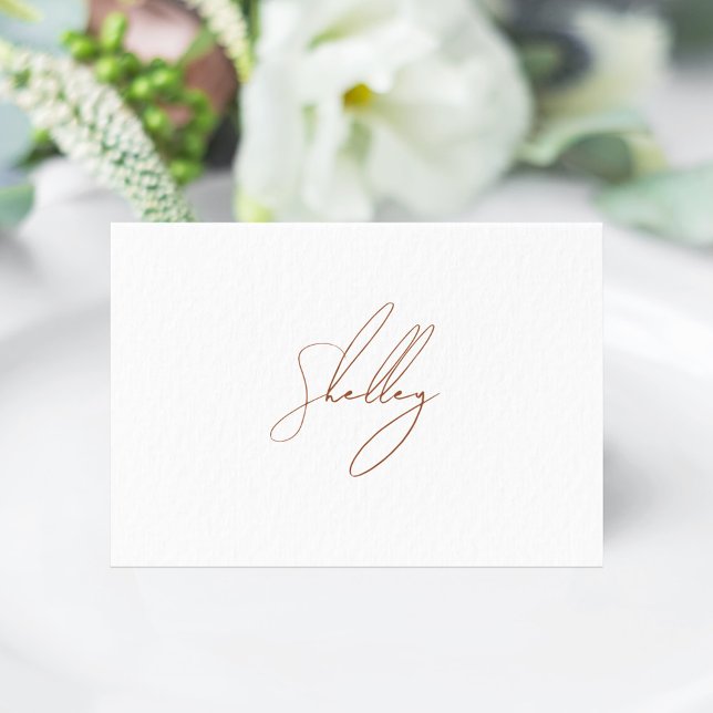 Brown Terracotta Guest Name Table Card Place Card (Brown Terracota Individual name Place Card)