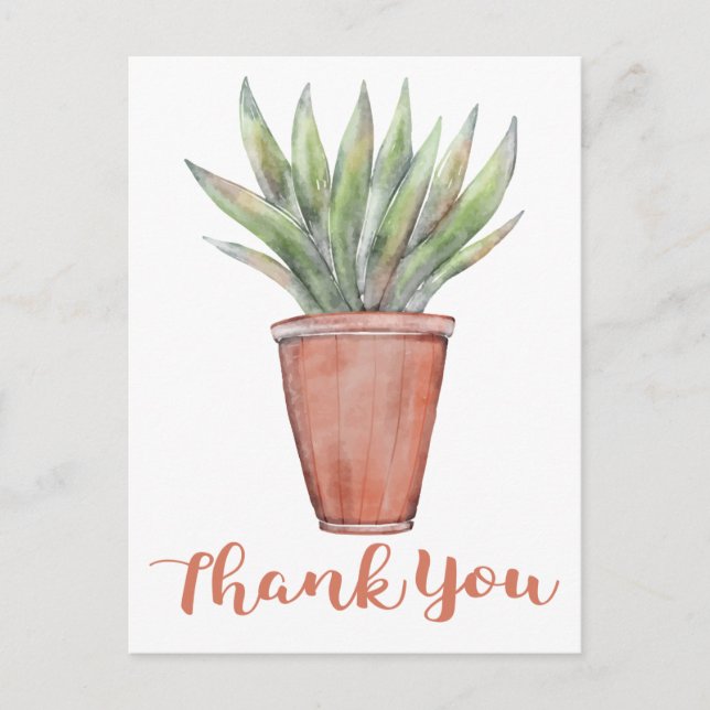 Brown Thank You Watercolor Green Cactus Succulent Postcard (Front)