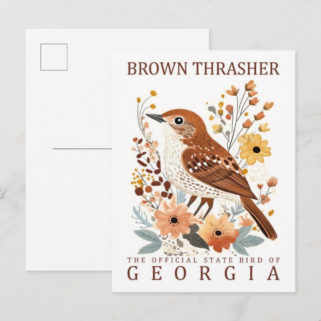 Brown Thrasher Bird of Georgia USA Travel Postcard (Front/Back)