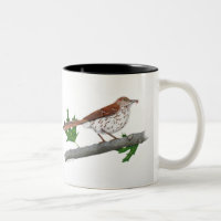 Brown Thrasher Inspirational Mug