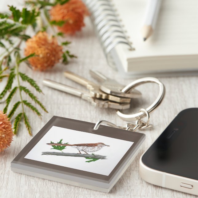 Brown Thrasher Keychain (Front Right)