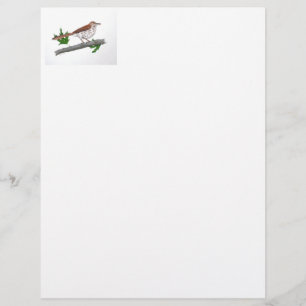 Brown Thrasher Stationery Custom Letterhead