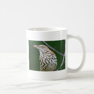 Brown Thrasher w/ Catch Of the Day Gifts Apparel Coffee Mug
