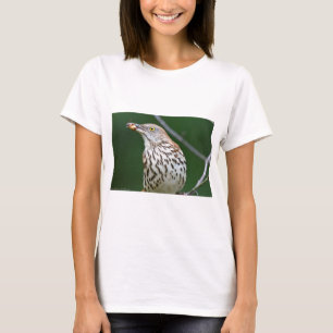 Brown Thrasher w/ Catch Of the Day Gifts Apparel T-Shirt