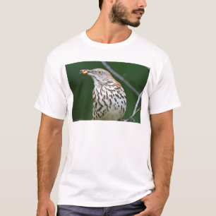 Brown Thrasher w/ Catch Of the Day Gifts Apparel T-Shirt