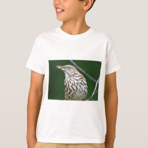 Brown Thrasher w/ Catch Of the Day Gifts Apparel T-Shirt