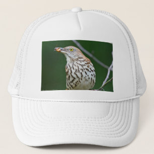 Brown Thrasher w/ Catch Of the Day Gifts Apparel Trucker Hat
