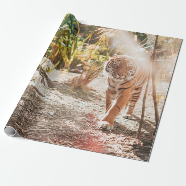 BROWN TIGER IN WALKING GESTURE WRAPPING PAPER (Unrolled)