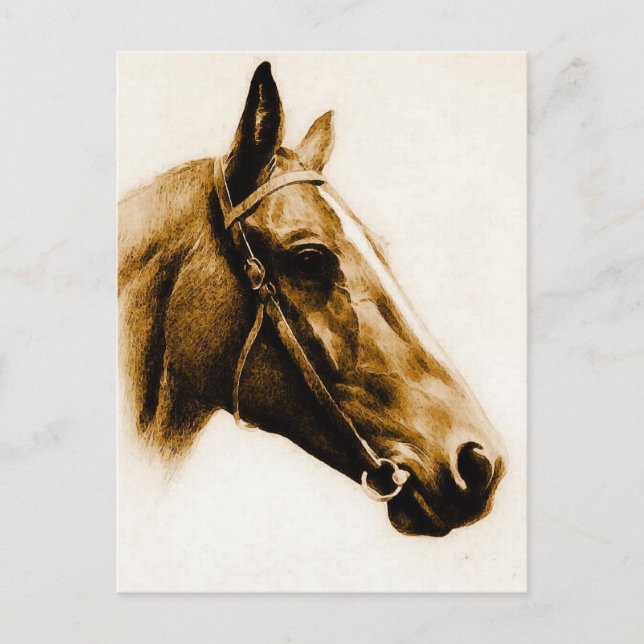 Brown Tones Horse Portrait Postcard (Front)