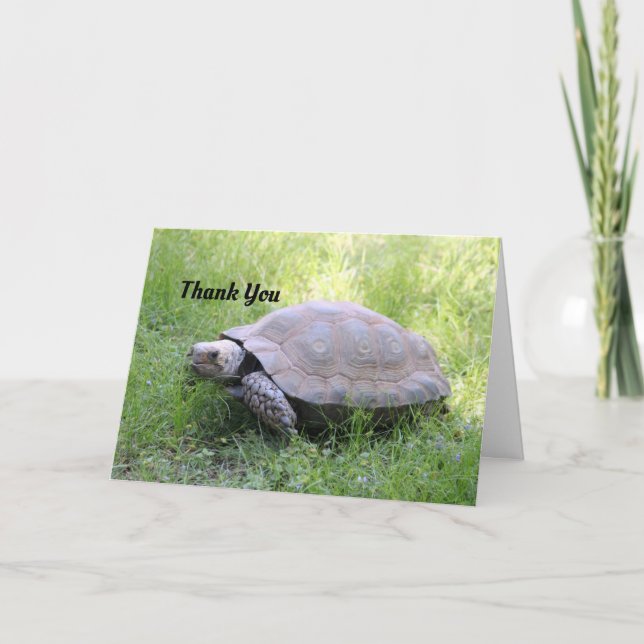 Brown Tortoise Thank You Card (Front)