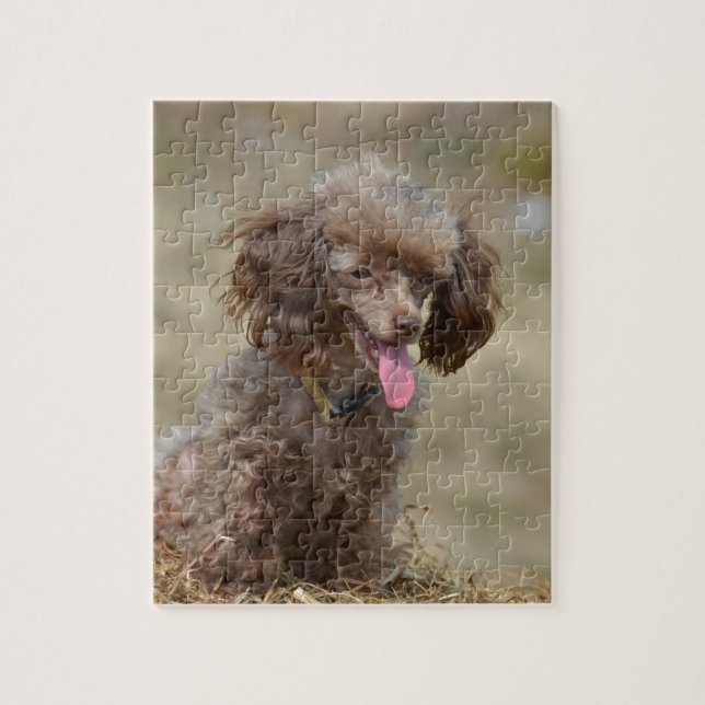 Brown Toy Poodle Jigsaw Puzzle (Vertical)