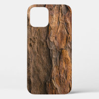 Brown tree bark in closeup photography