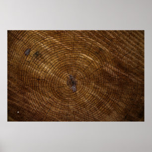 Brown tree trunk poster