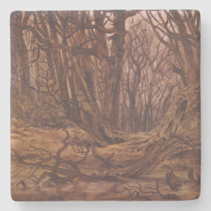 Brown Tree Trunks in an Autumnal Forest Stone Coaster