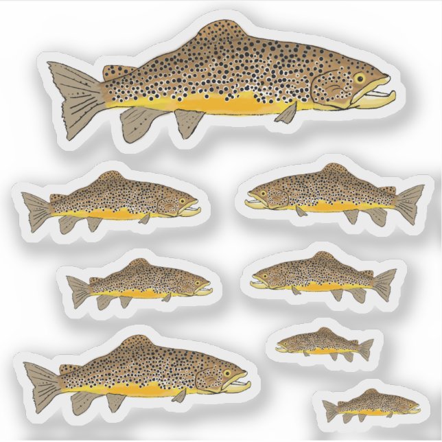 Brown Trout (Front)