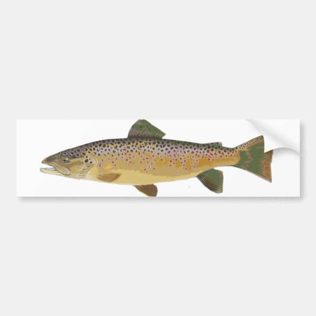 Brown Trout. Bumper Sticker (Front)