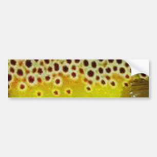 Brown Trout by PatternWear© Bumper Sticker
