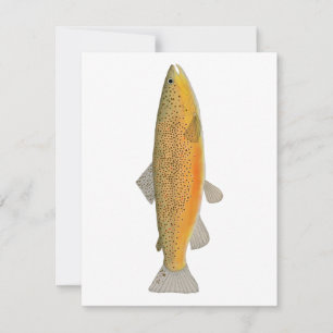 Brown Trout Card
