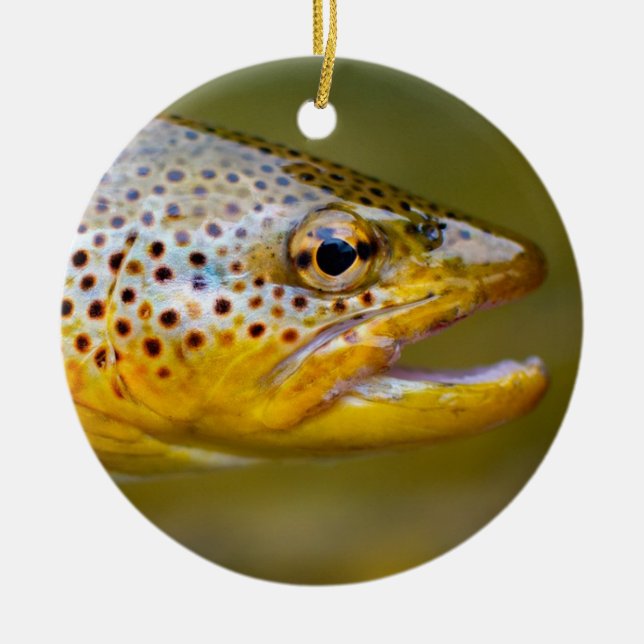Brown Trout Ceramic Tree Decoration (Front)