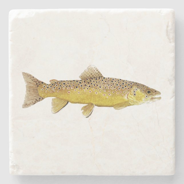 Brown Trout Coaster (Front)