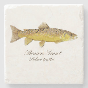 Brown Trout Coaster