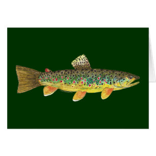 Brown Trout Fishing