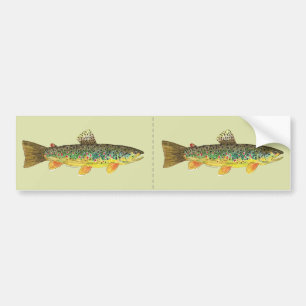 Brown Trout Fishing Bumper Sticker
