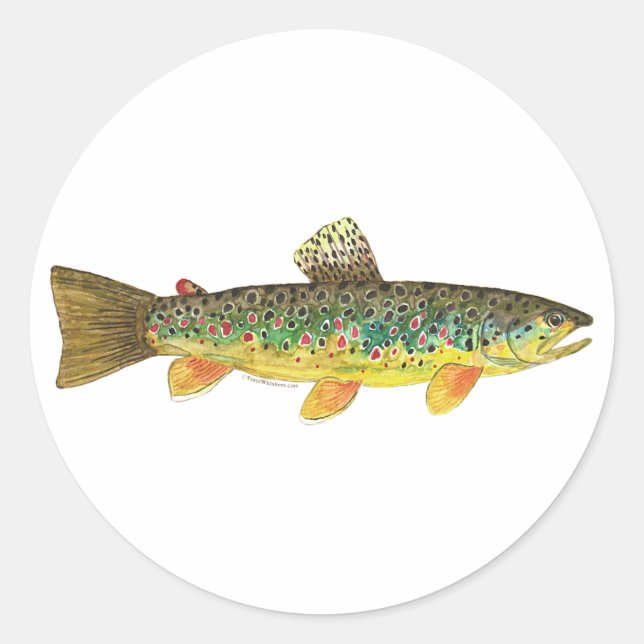 Brown Trout Fishing Classic Round Sticker (Front)