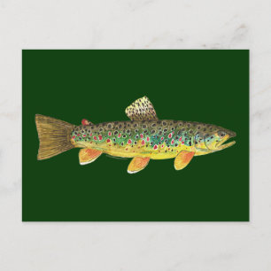 Brown Trout Fishing Postcard