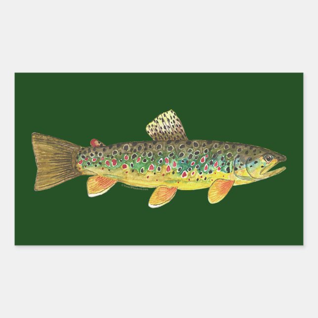 Brown Trout Fishing Rectangular Sticker (Front)