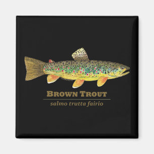 Brown Trout Latin Ichthyology Magnet