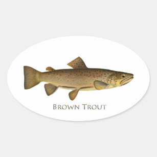 Brown Trout Logo Oval Sticker