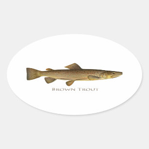 Brown Trout Logo Oval Sticker