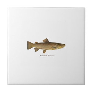 Brown Trout Logo Tile