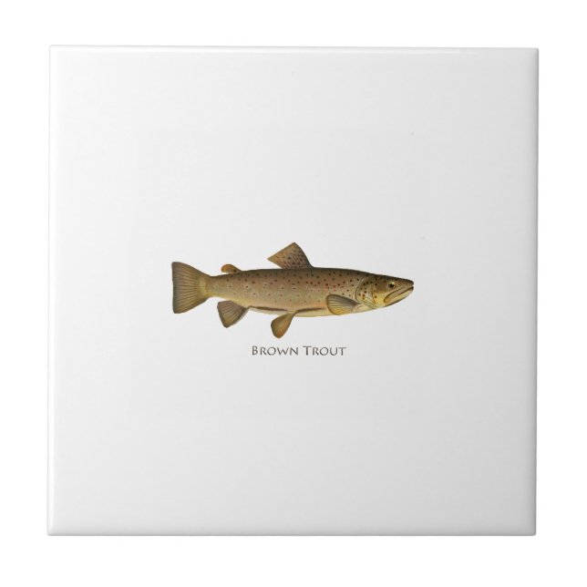 Brown Trout Logo Tile (Front)