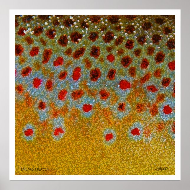 Brown Trout Poster (Front)