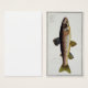 Brown Trout (Salmo Iasustris) plate XXIII from 'Ic (Front & Back)