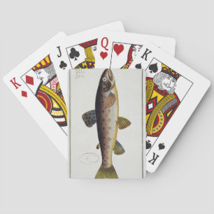 Brown Trout (Salmo Iasustris) plate XXIII from 'Ic Playing Cards