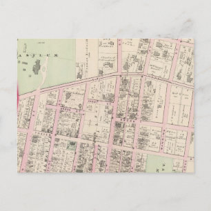 Brown University Postcard