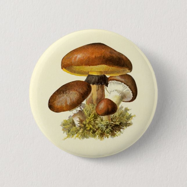 Brown Vintage Mushroom 6 Cm Round Badge (Front)