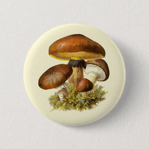 Brown Vintage Mushroom 6 Cm Round Badge