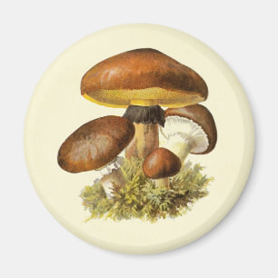 Brown Vintage Mushroom Magnet