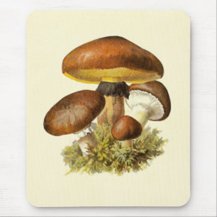 Brown Vintage Mushroom Mouse Mat