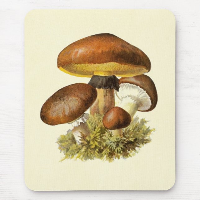 Brown Vintage Mushroom Mouse Mat (Front)